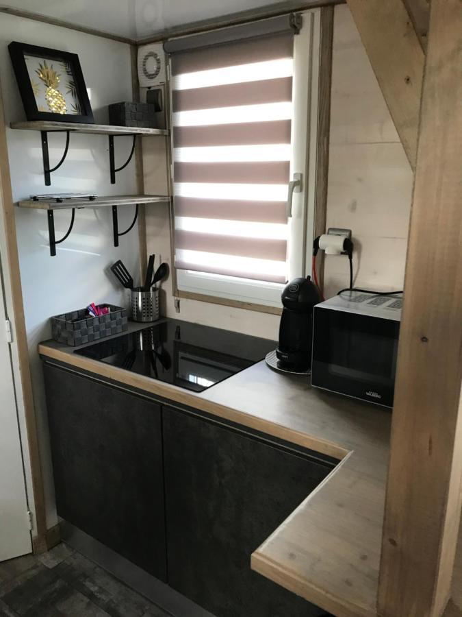 Les Nuits Insolites De La Mothe - Hebergement En Bulle Ou Tiny House Avec Spa Privatif Outremecourt Zewnętrze zdjęcie